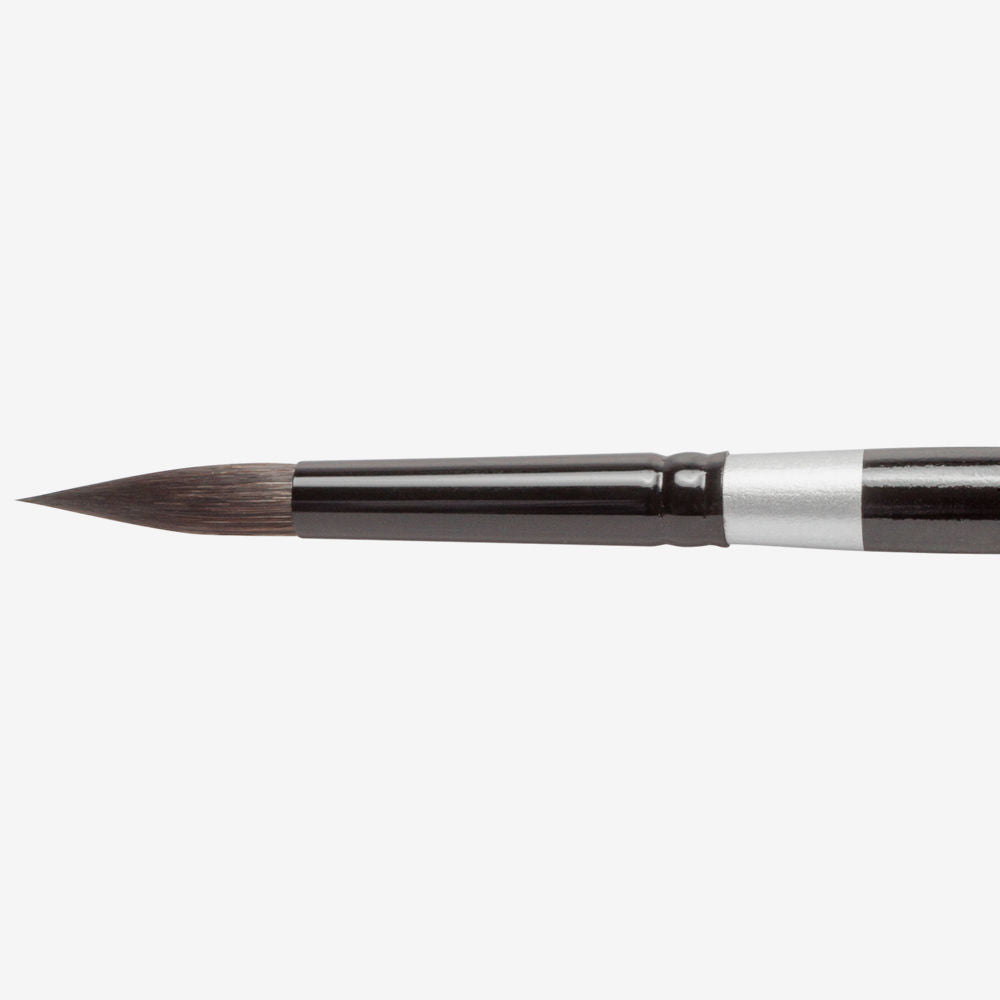 SILVER BRUSH : BLACK VELVET : SQUIRREL & RISSLON BRUSH