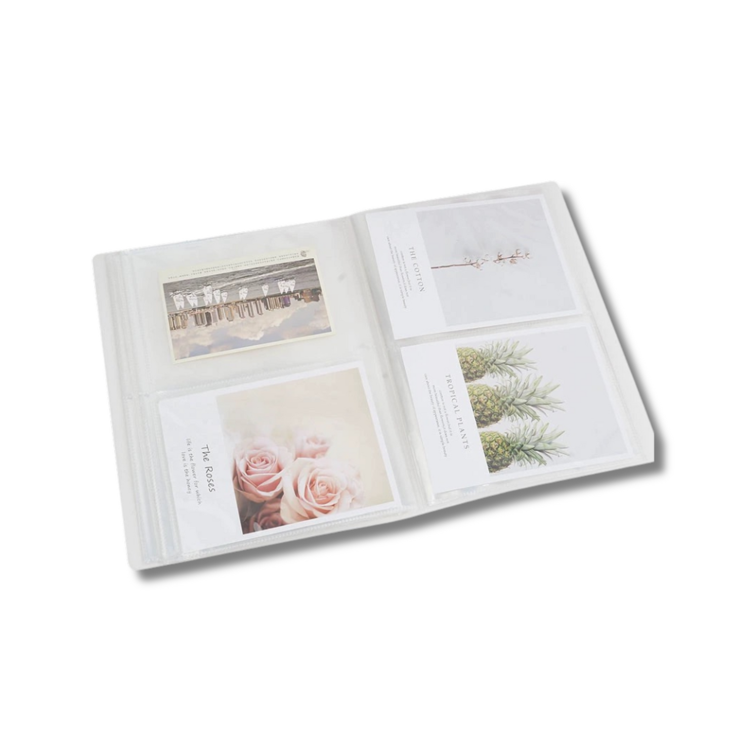 AAAI'S : STORAGE ALBUM