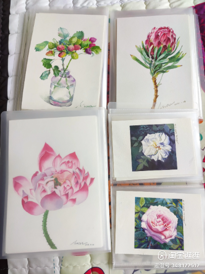 AAAI'S : STORAGE ALBUM