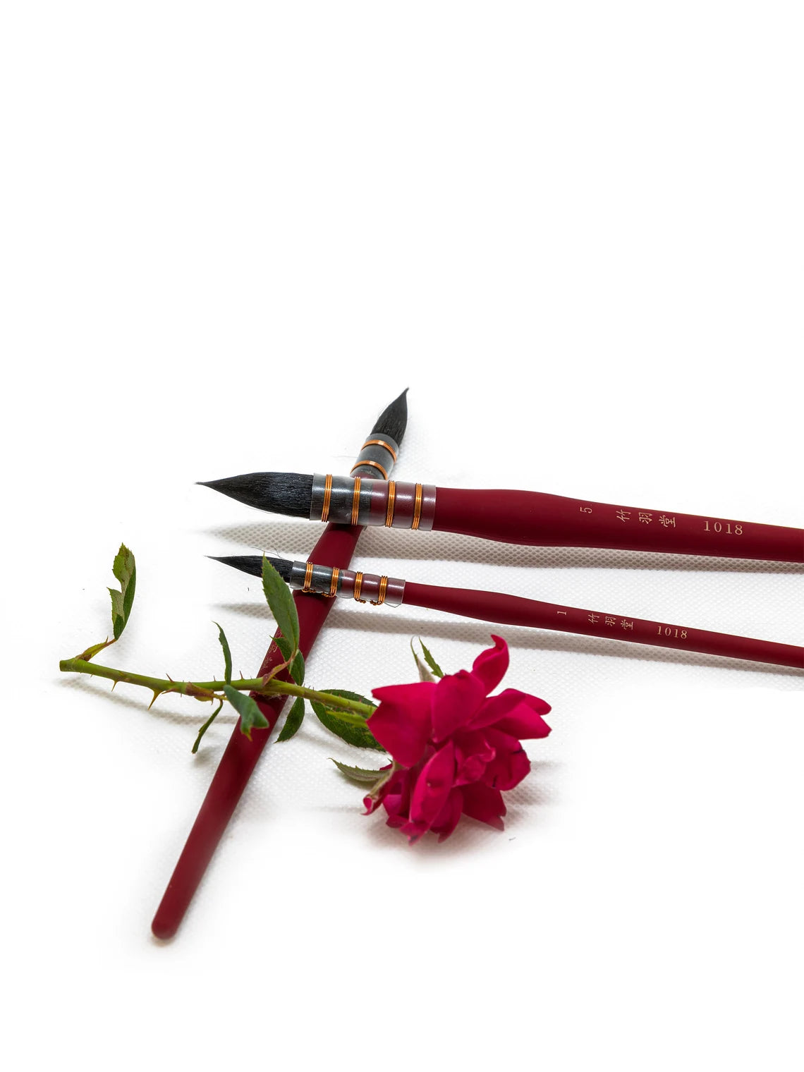 AAAI'S: WATERCOLOR BEGINNER SET